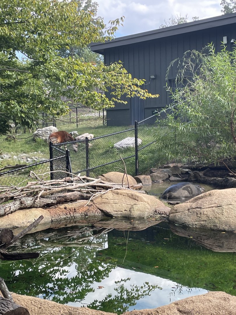 9/28/2024 - Neighbors of the Congo