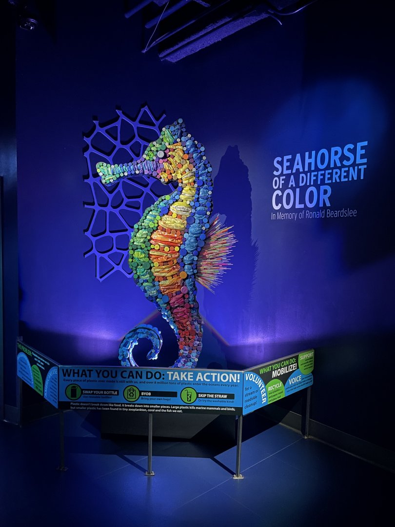 9/28/2024 - Seahorse Sculpture