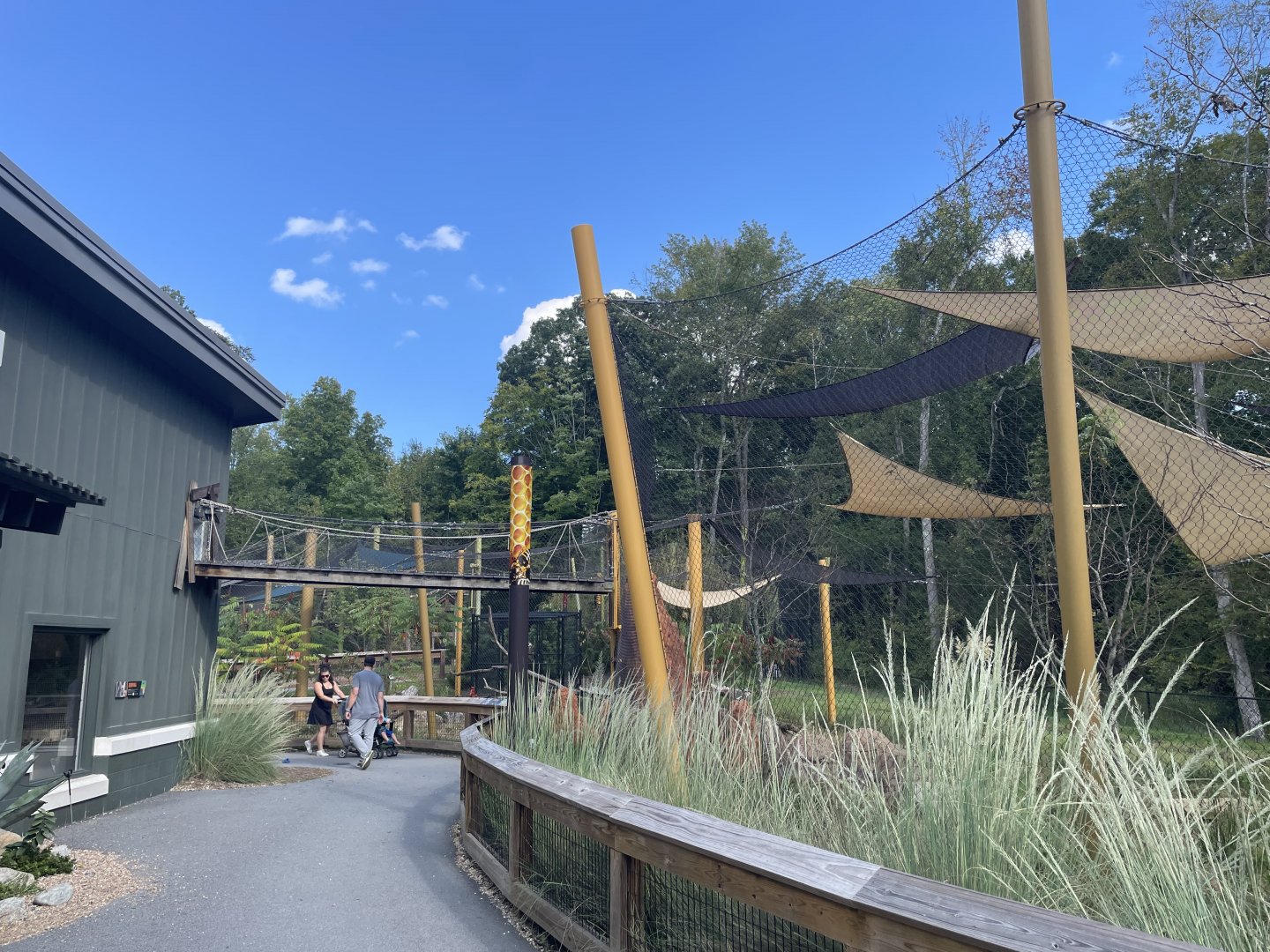 9/28/2024 - Serval Habitat