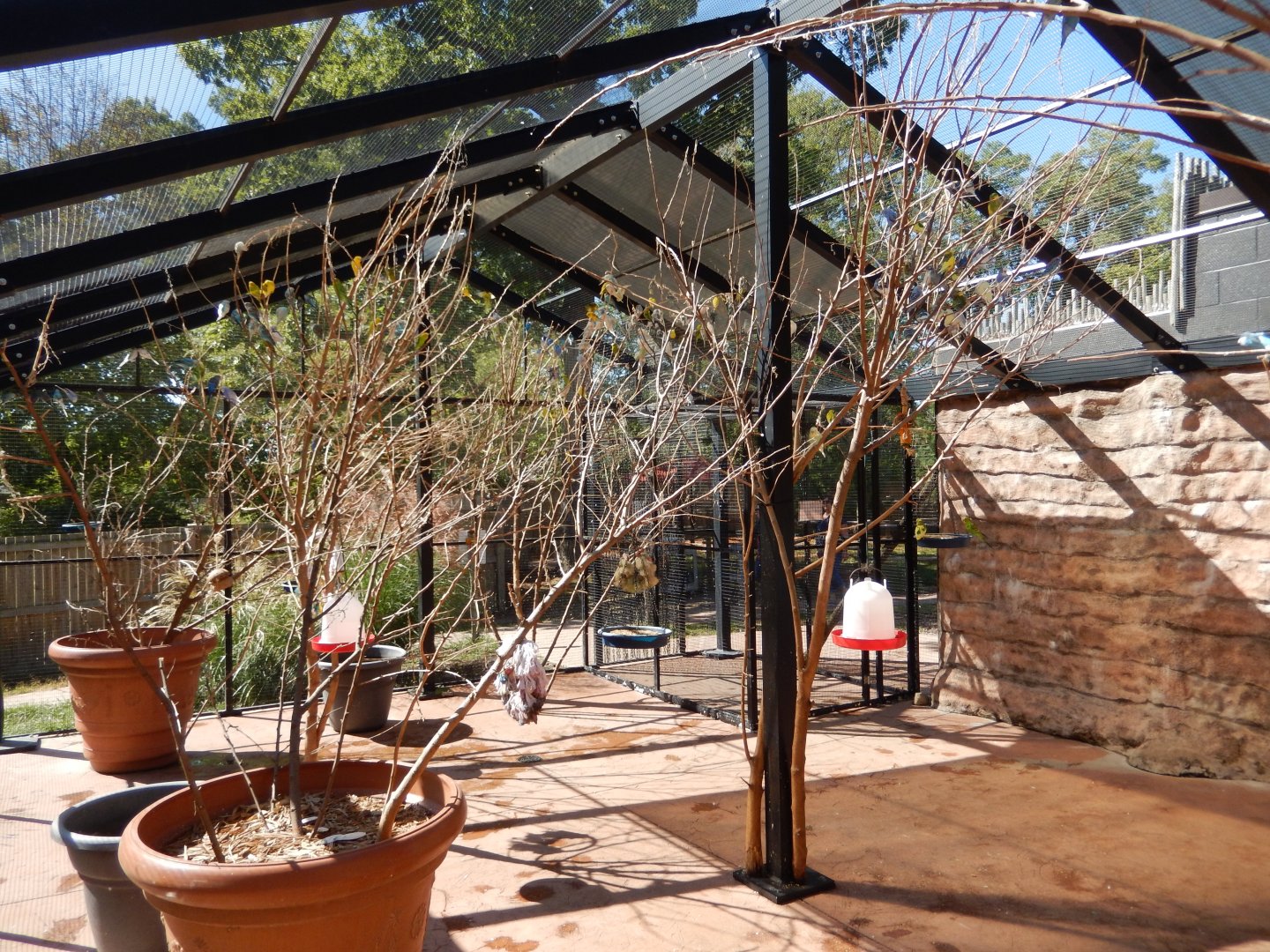 9/29/2017 - Budgie Aviary