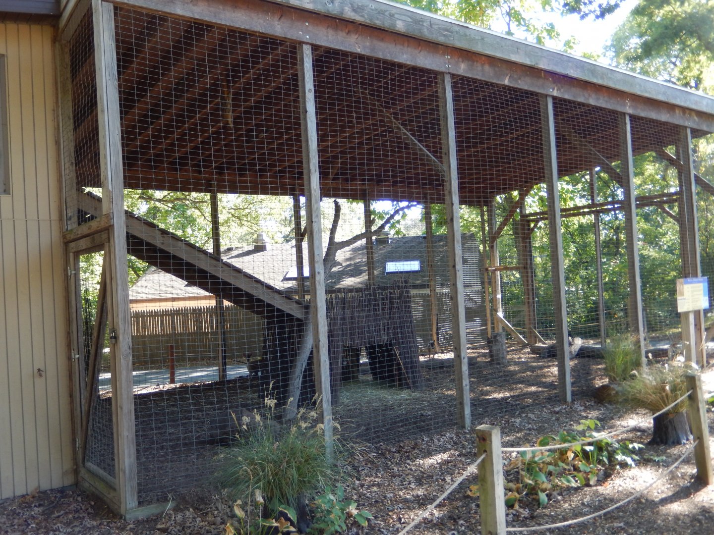 9/29/2017 - Chinese Muntjac Cage