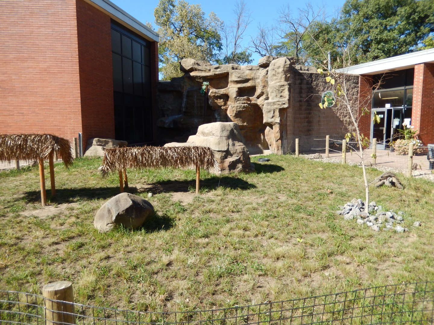 9/29/2017 - Galapagos Tortoise Habitat