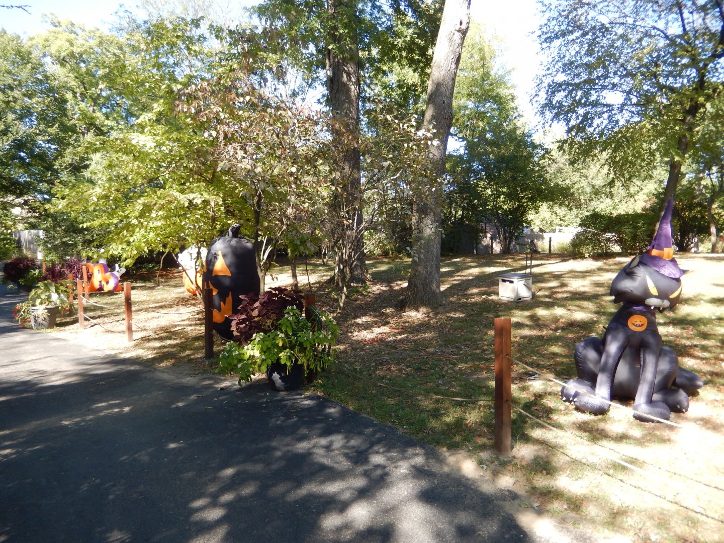 9/29/2017 - Getting Ready for Halloween!