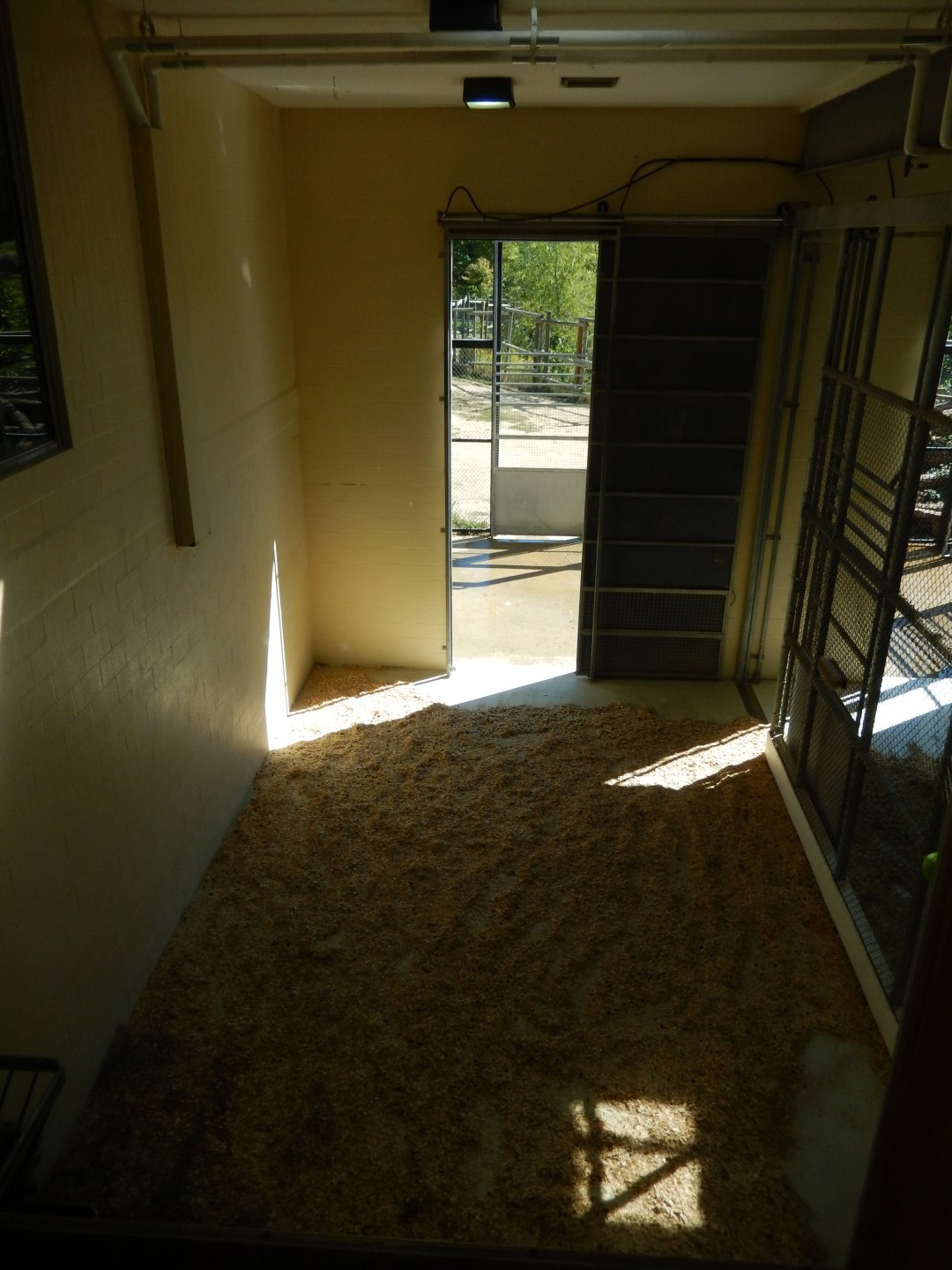 9/29/2017 - Giraffe Stall