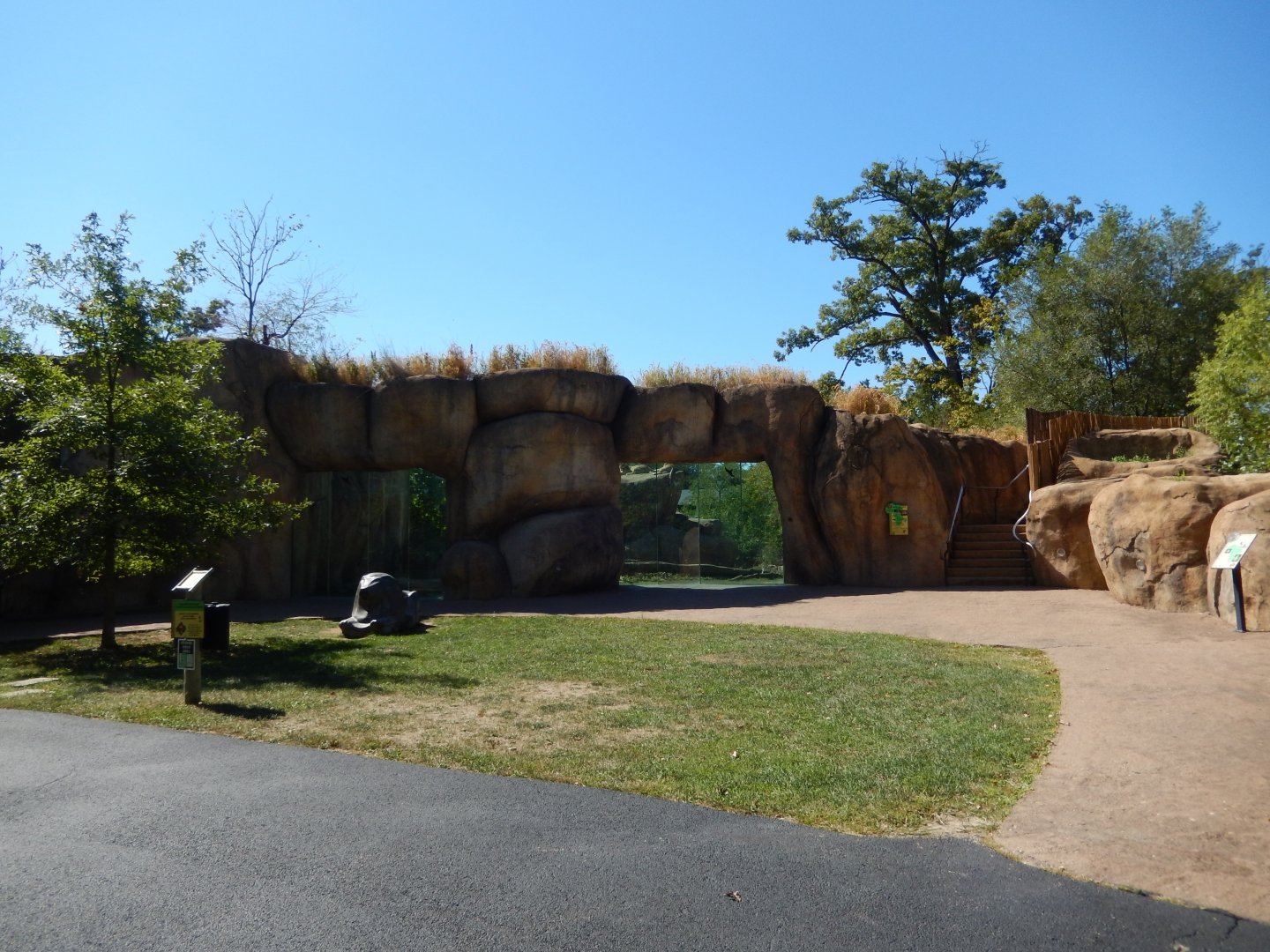 9/29/2017 - Lion Viewing Area