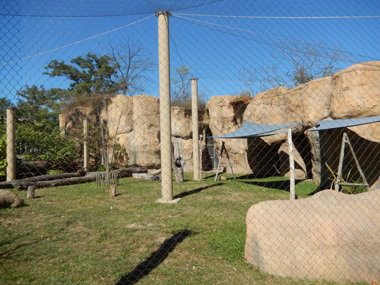 9/29/2017 - Mandrill Habitat