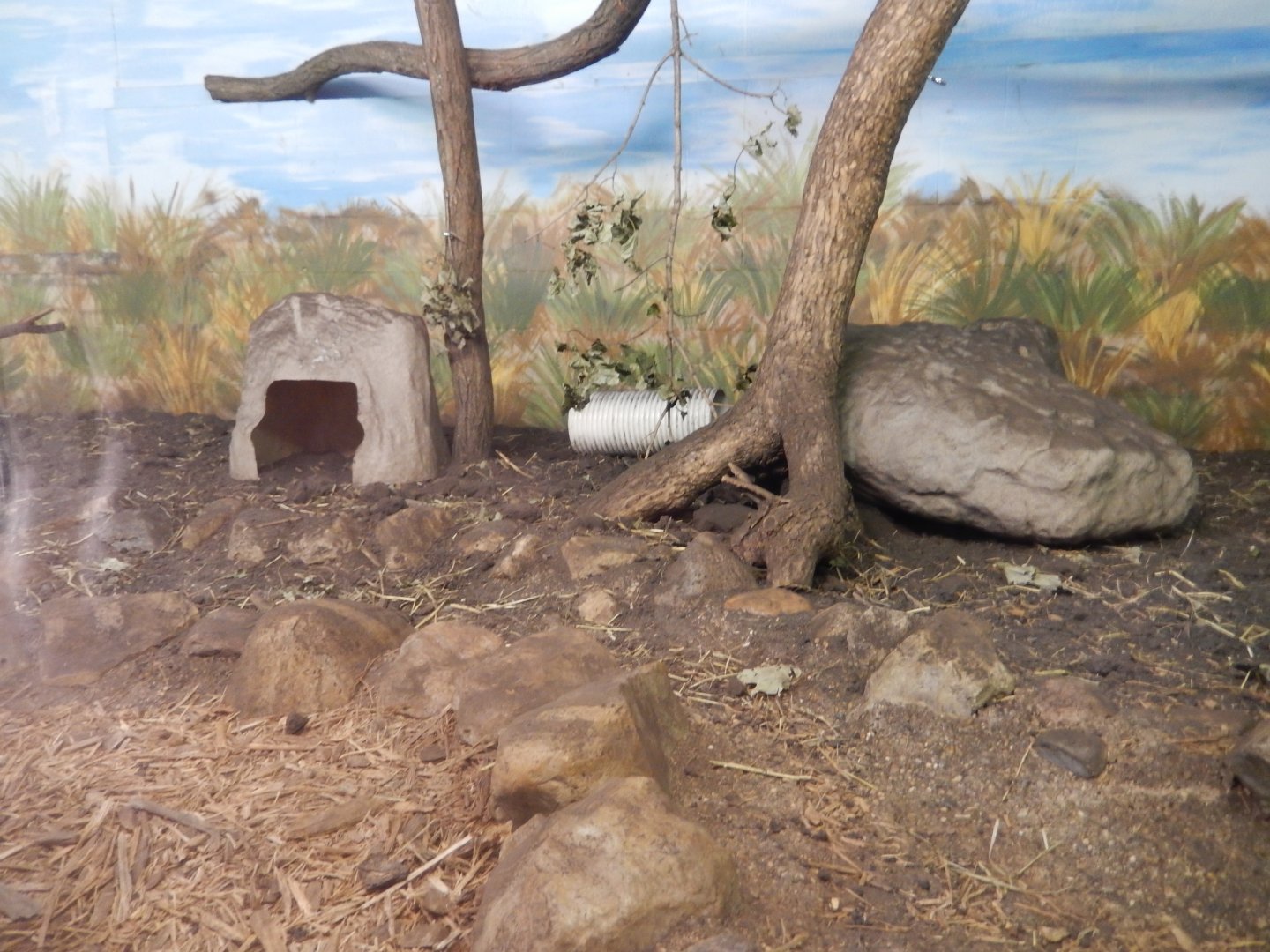 9/29/2017 - Swift Fox Exhibit