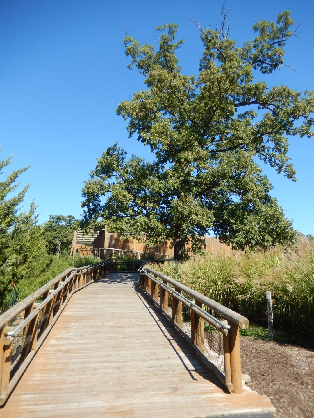 9/29/2017 - Wooden Ramp