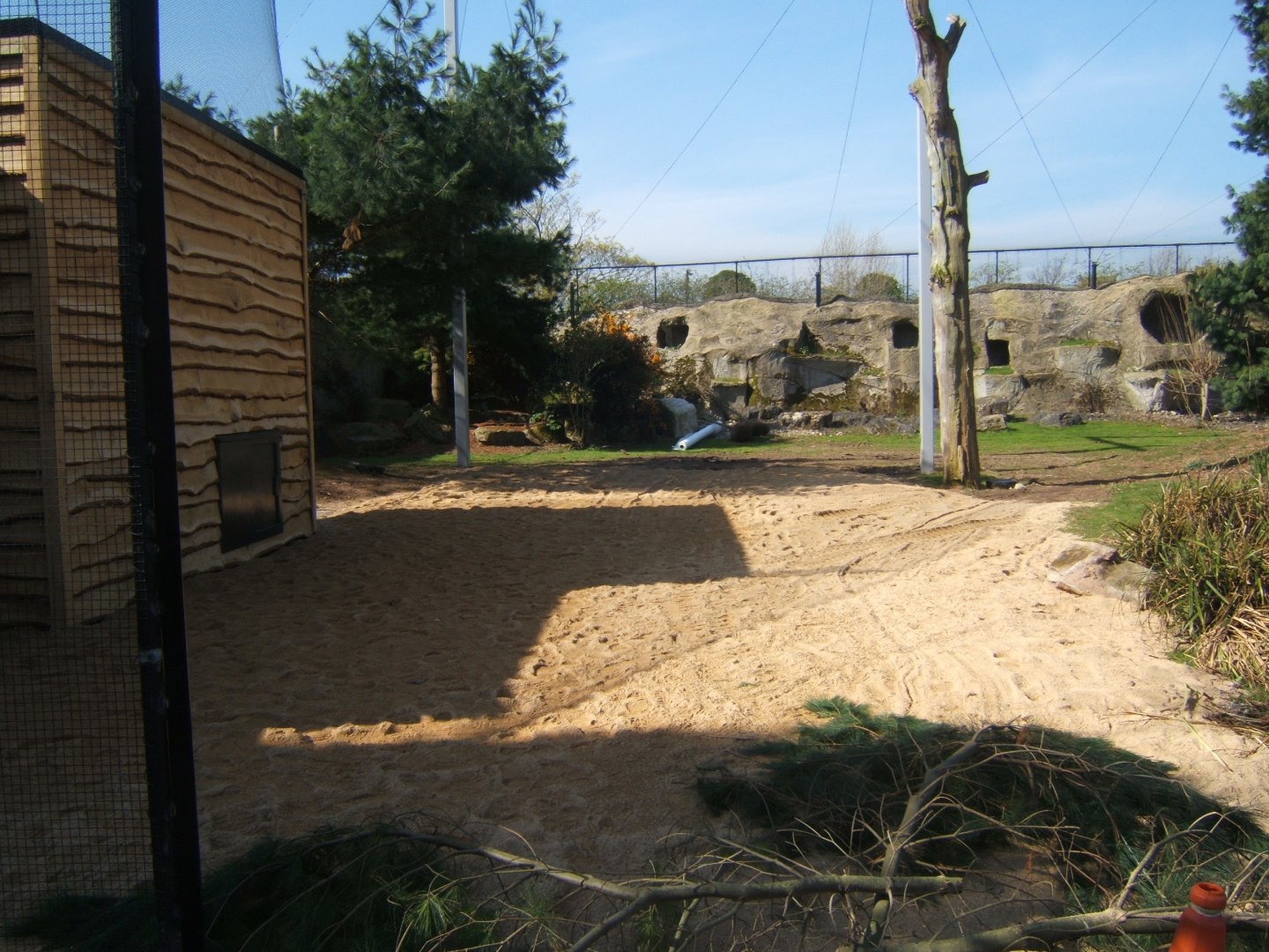 9/4/2017 View of work on the new European Bird Aviary