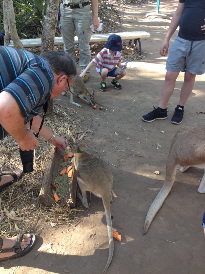9:40 am Woodland Wallaby Walk public feeding