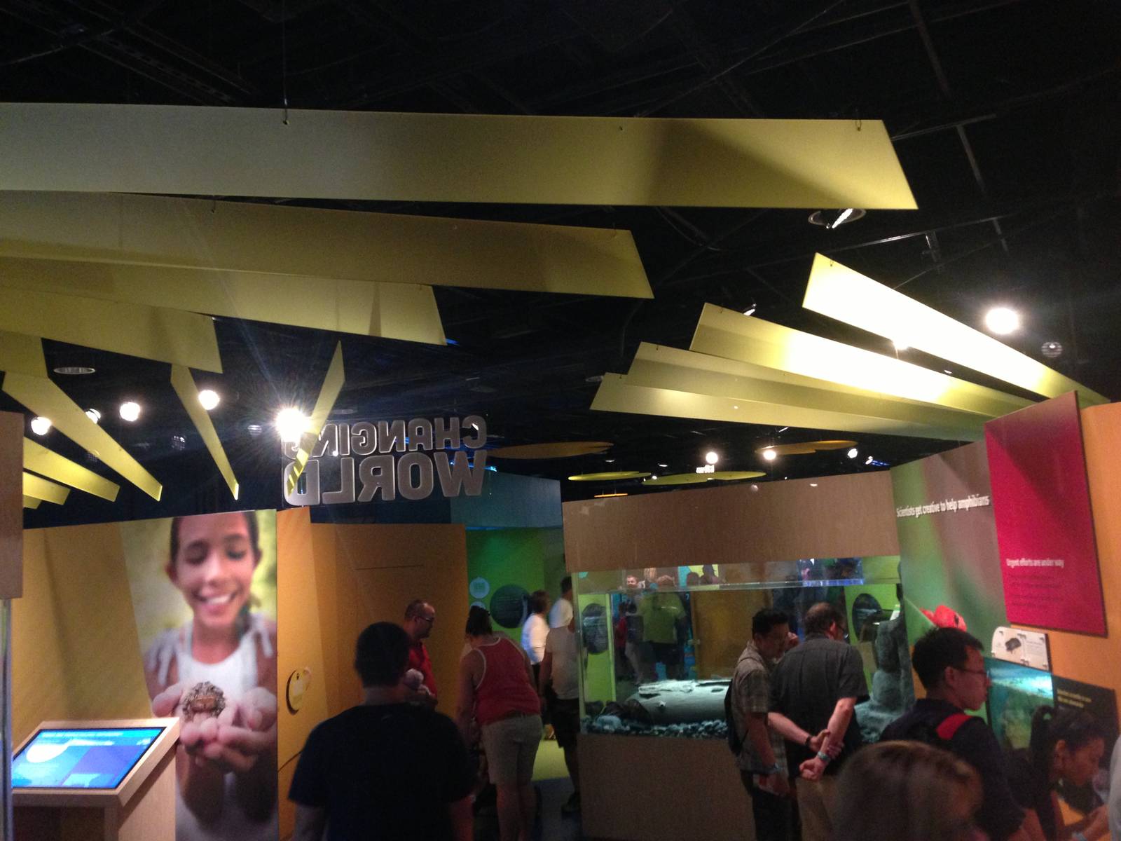 9/6/2015 - Amphibians