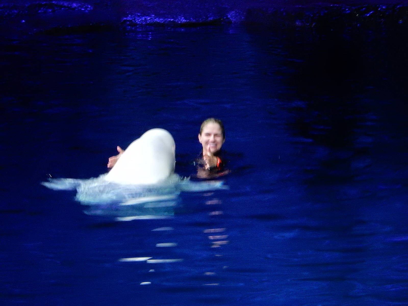 9/6/2015 - Beluga and Trainer
