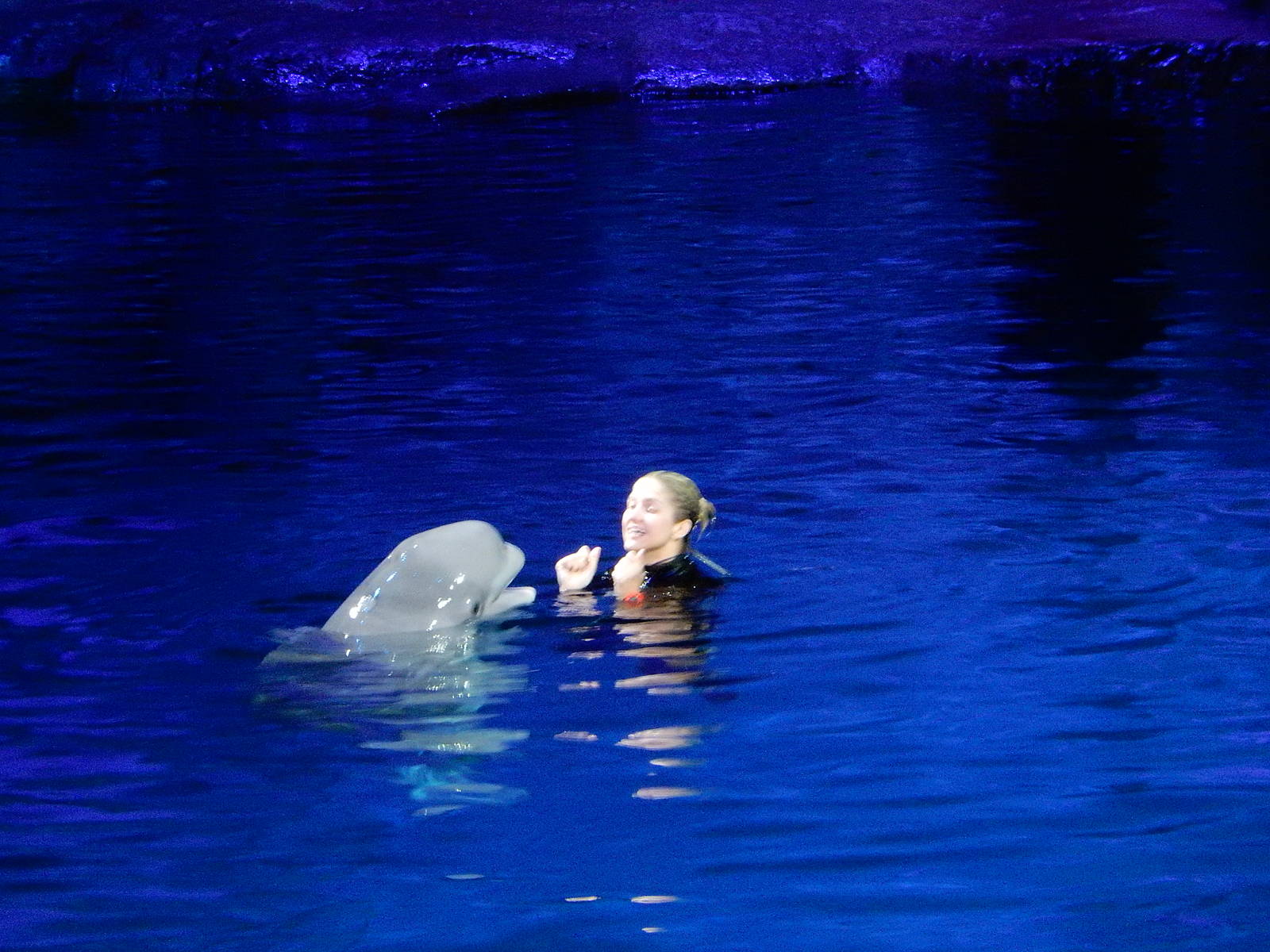 9/6/2015 - Beluga and Trainer