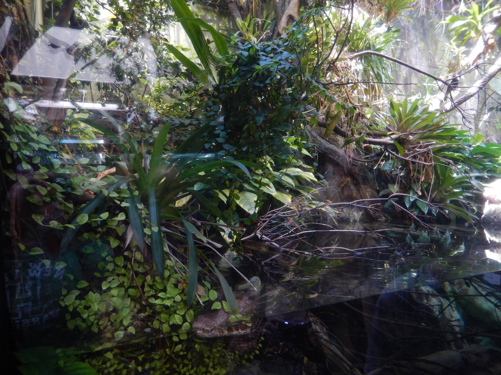 9/6/2015 - Caiman Exhibit