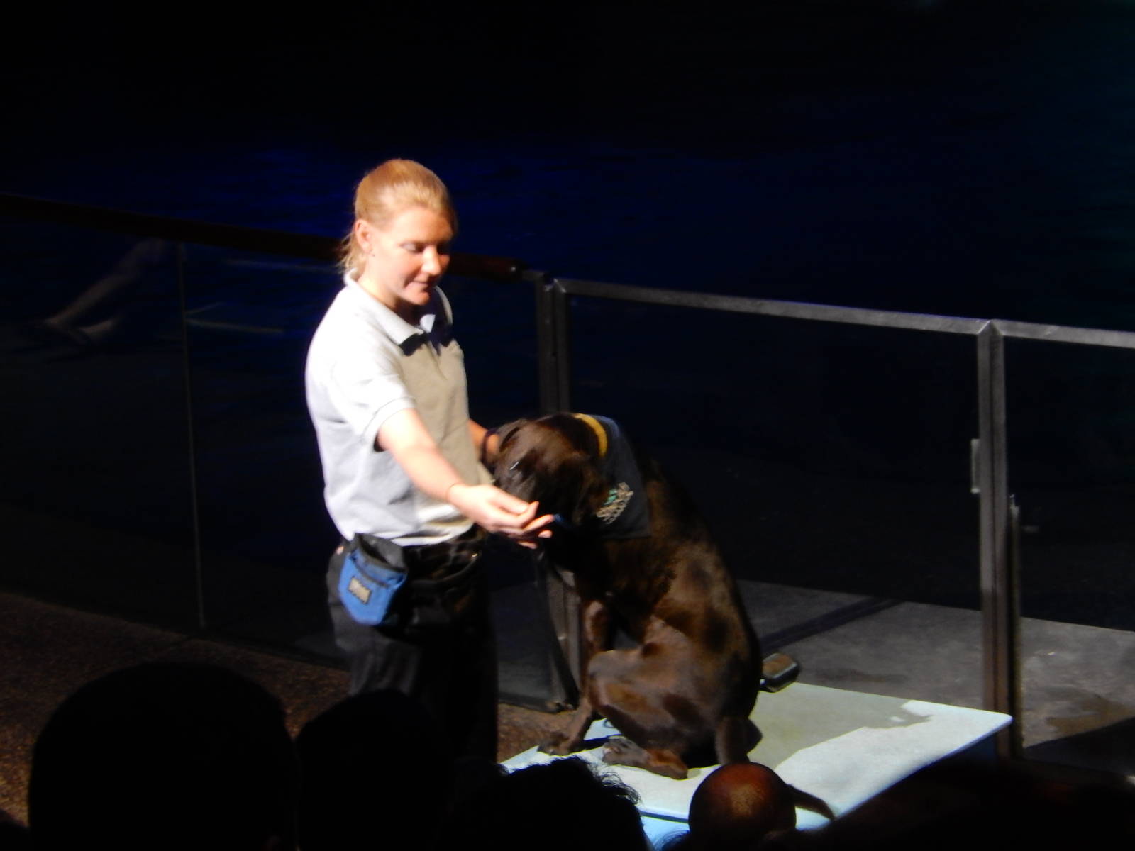 9/6/2015 - Dog and Trainer