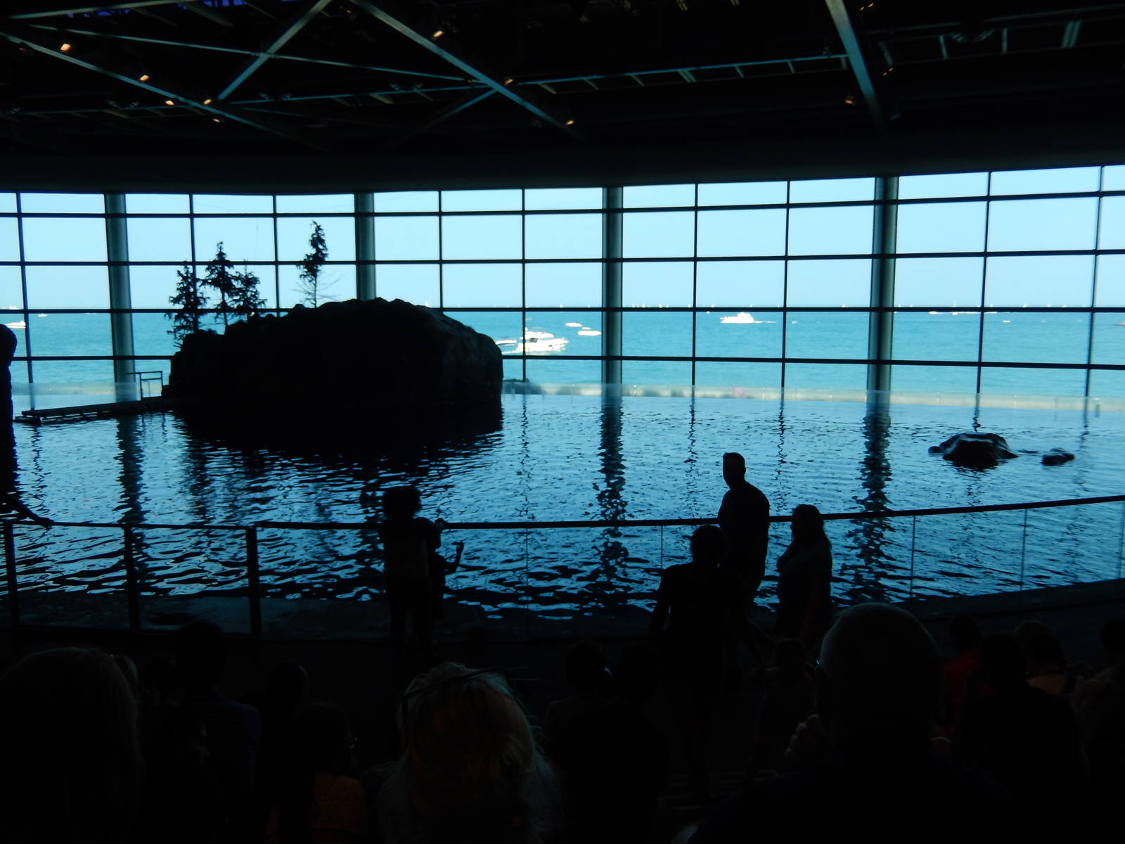 9/6/2015 - Oceanarium - What a View!