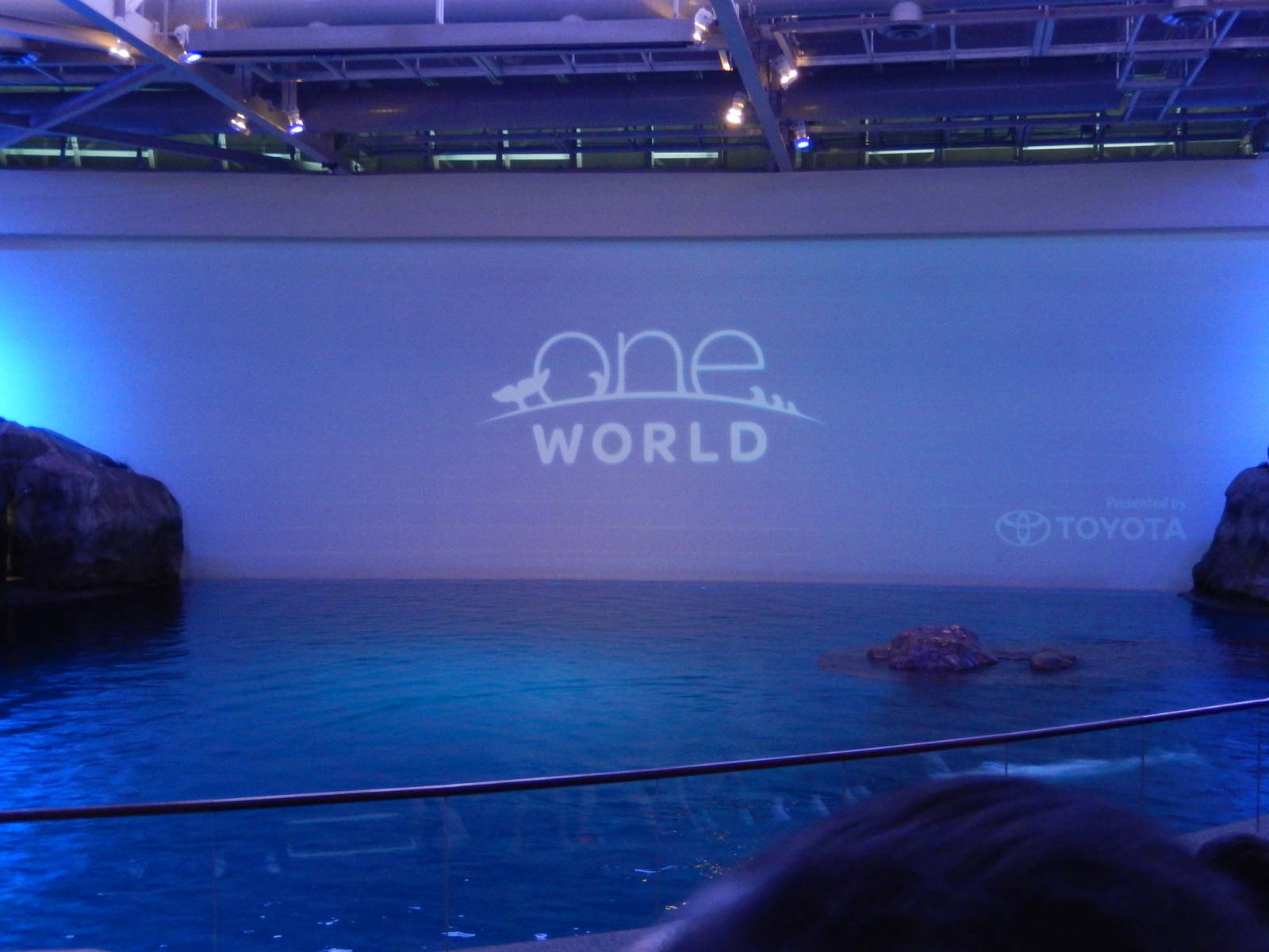 9/6/2015 - One World Show - The Opening