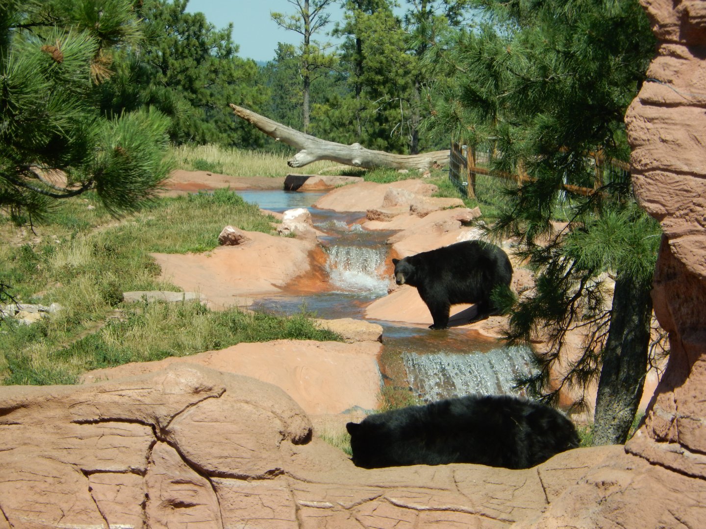 9/7/2021 - A Mid-Day Drink