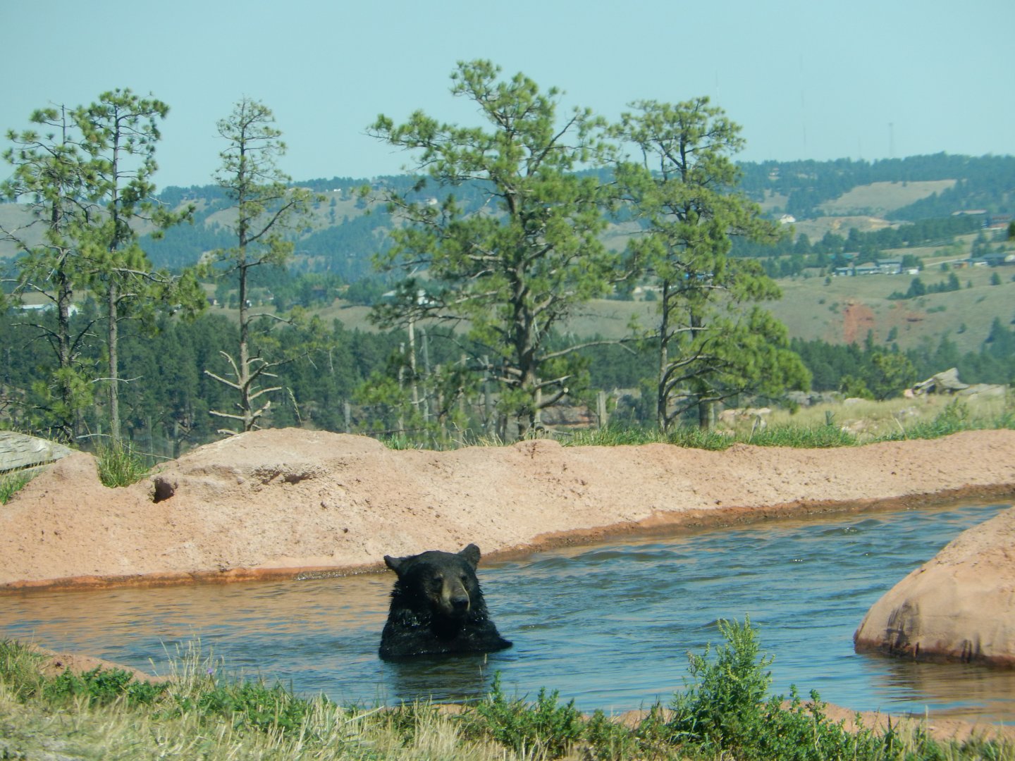 9/7/2021 - A Pool With a View!