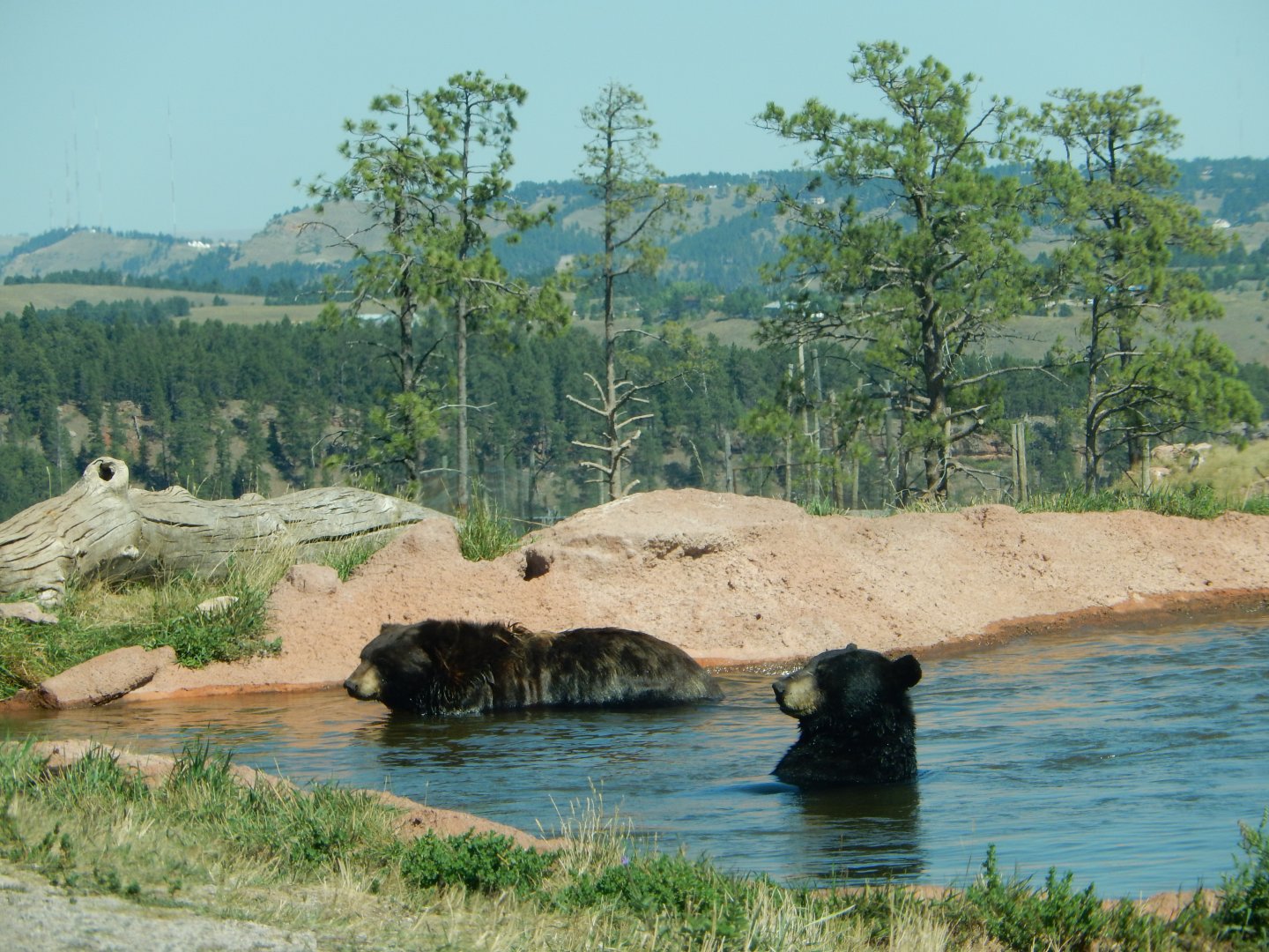 9/7/2021 - Ahh, This is the Life!