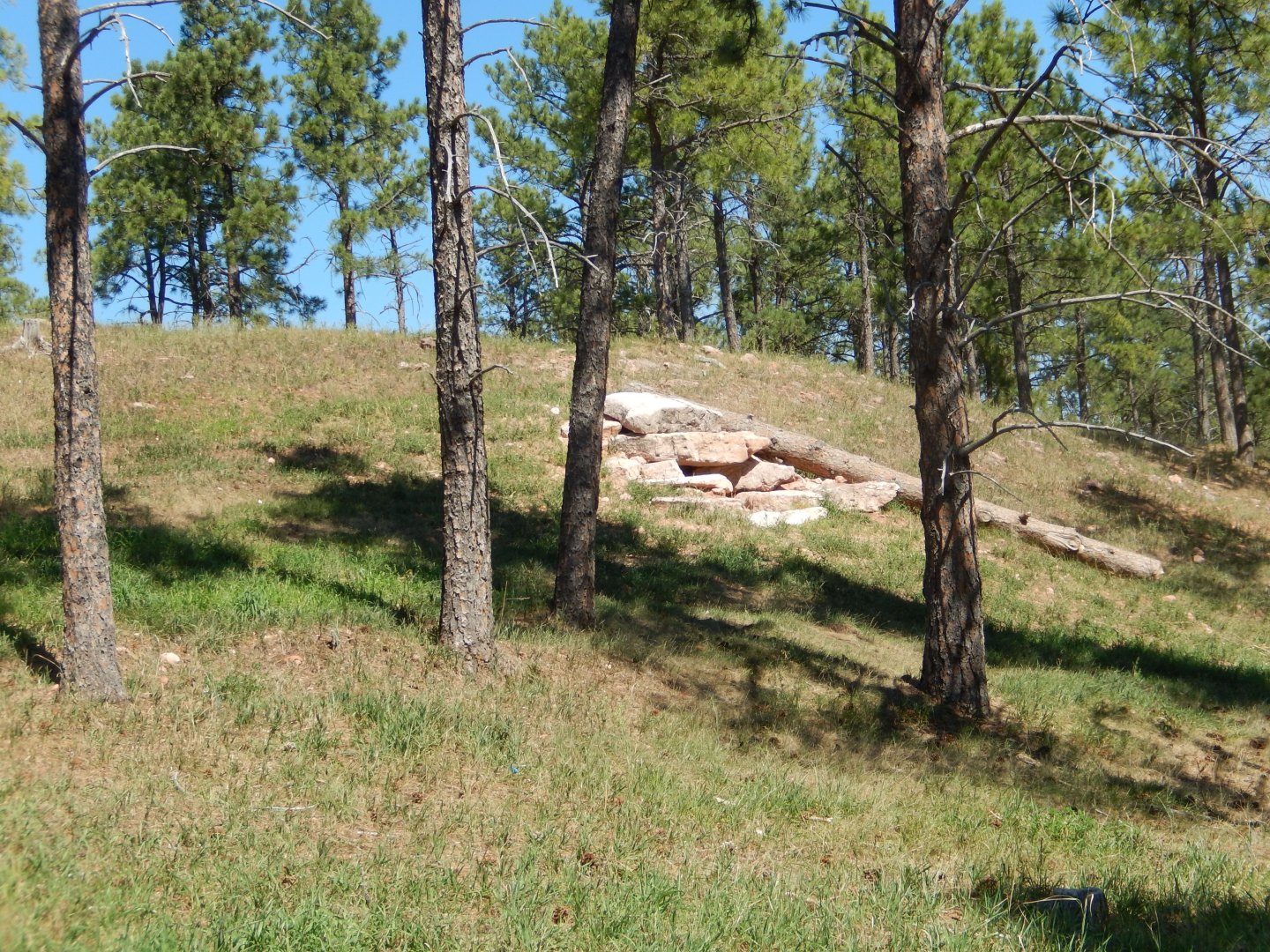 9/7/2021 - Arctic Wolf Habitat