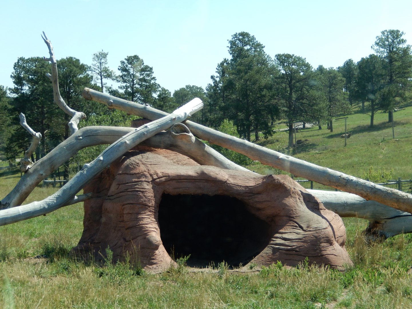 9/7/2021 - Black Bear Den