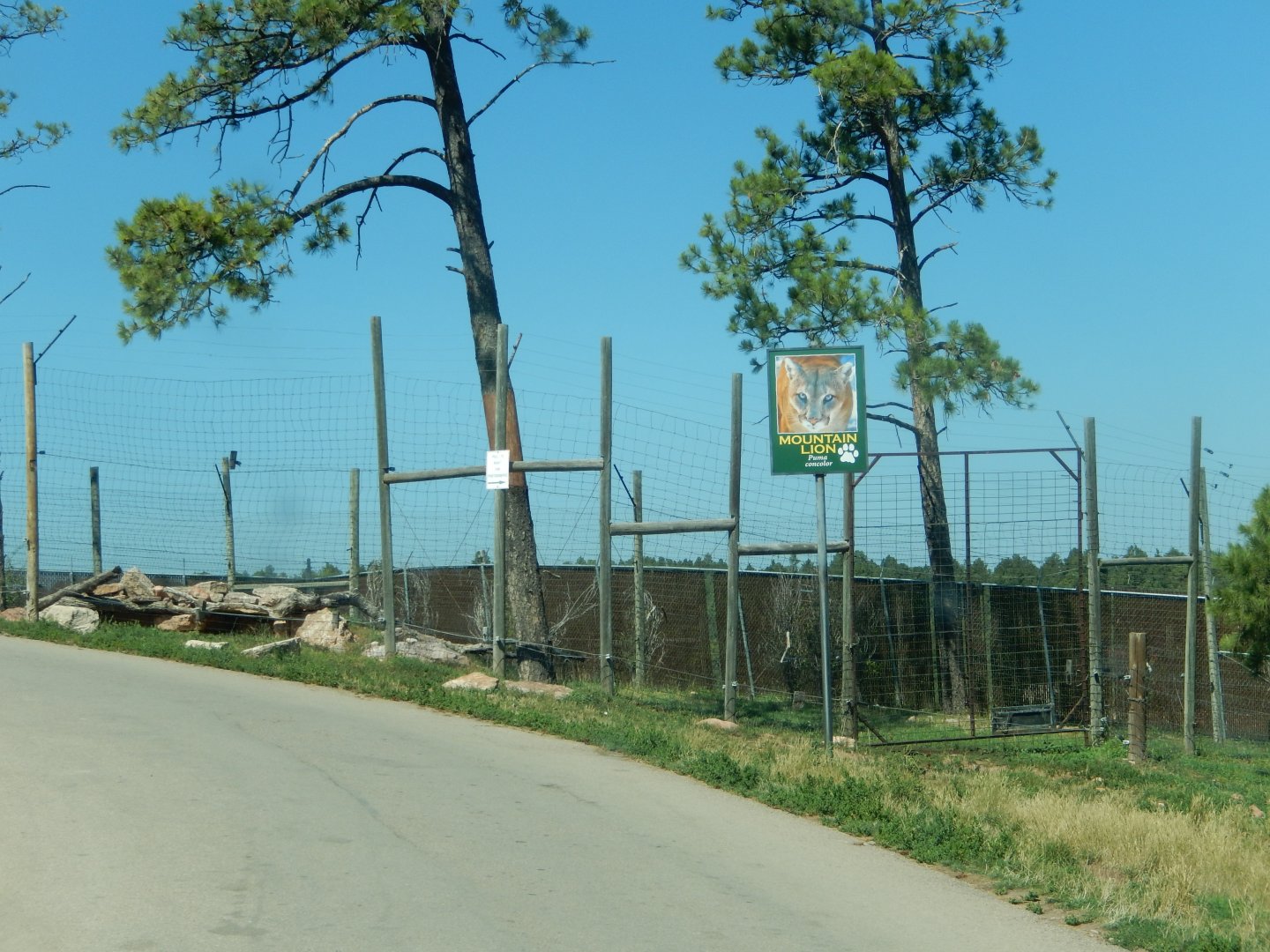 9/7/2021 - Cougar Habitat
