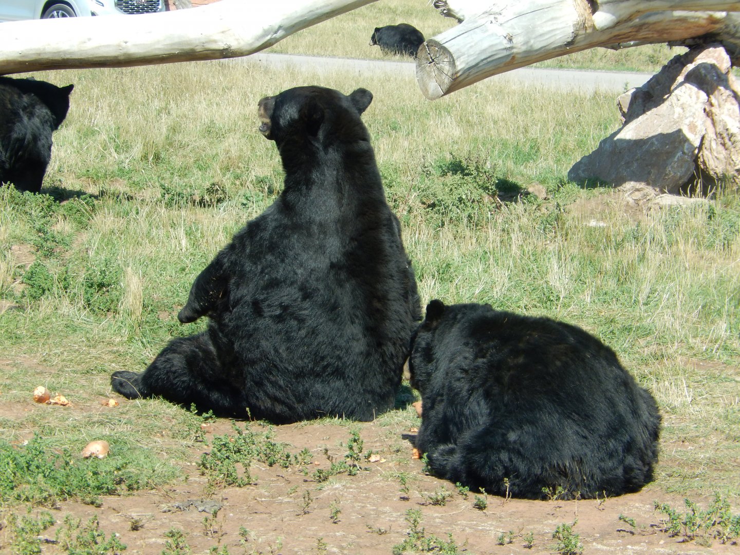 9/7/2021 - Giving the Cold Shoulder