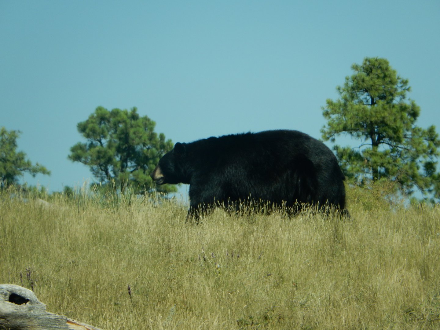 9/7/2021 - On Patrol