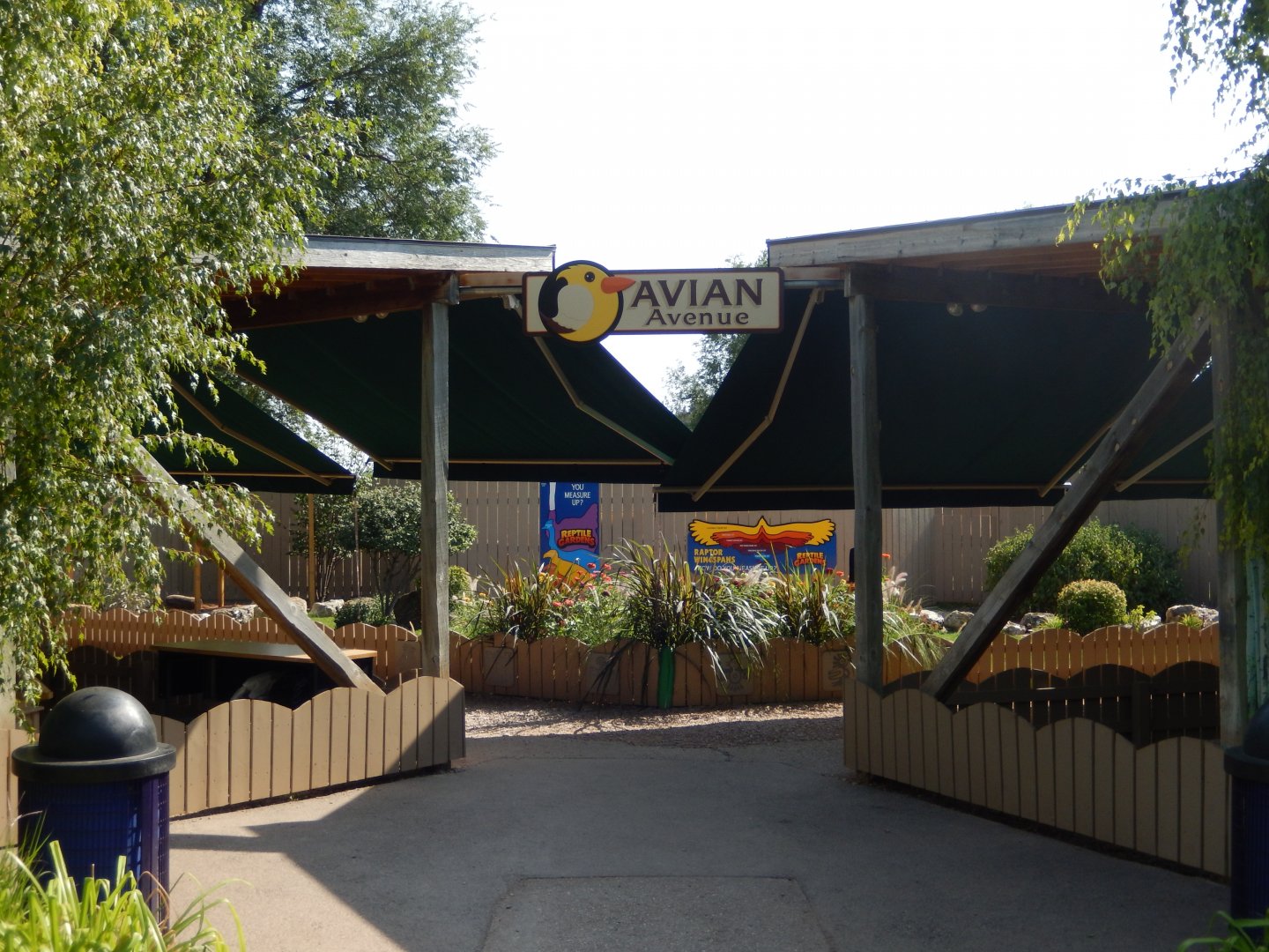 9/8/2021 - Avian Avenue