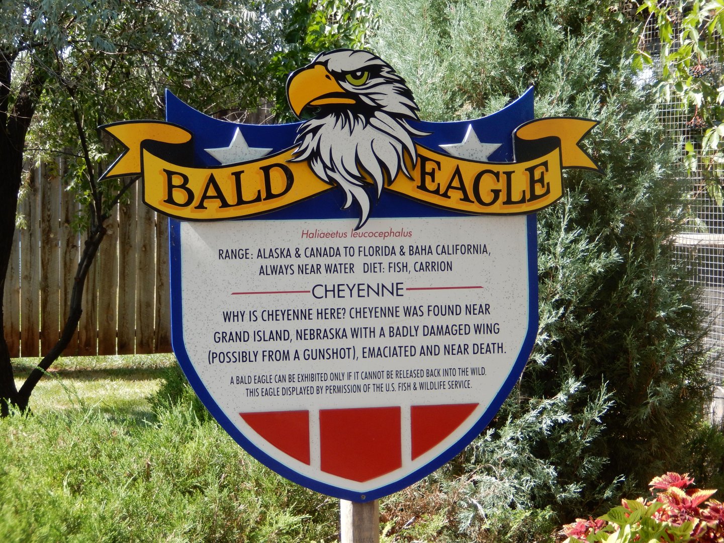 9/8/2021 - Cheyenne's Story