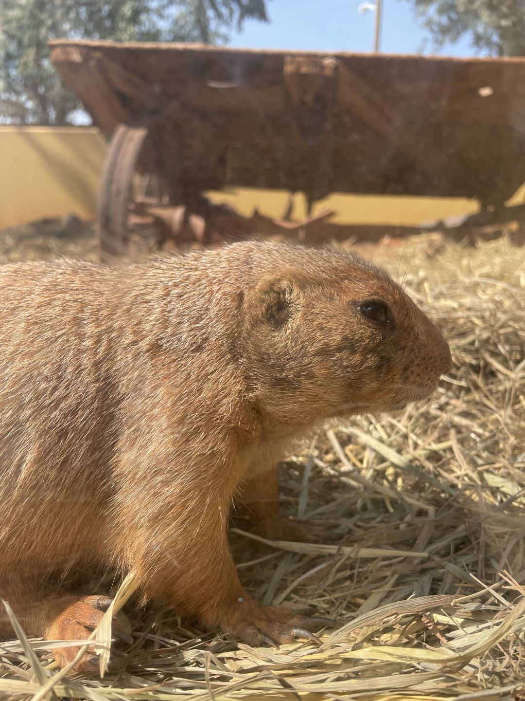 9/8/2021 - Eying Each Other Up