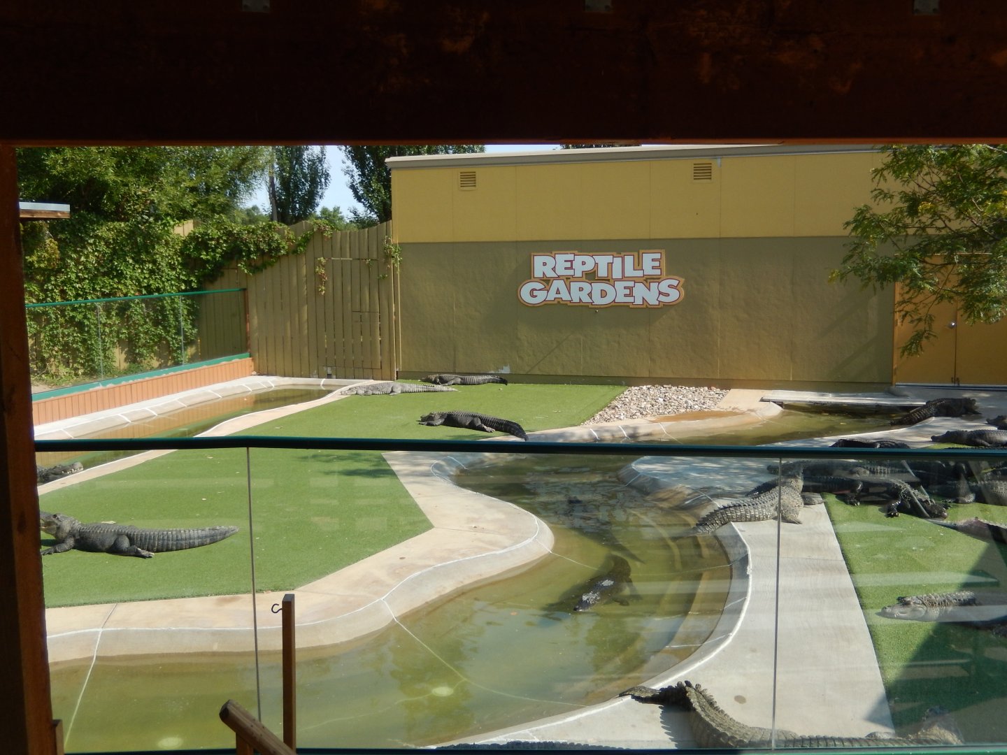 9/8/2021 - Gators & Crocs Arena