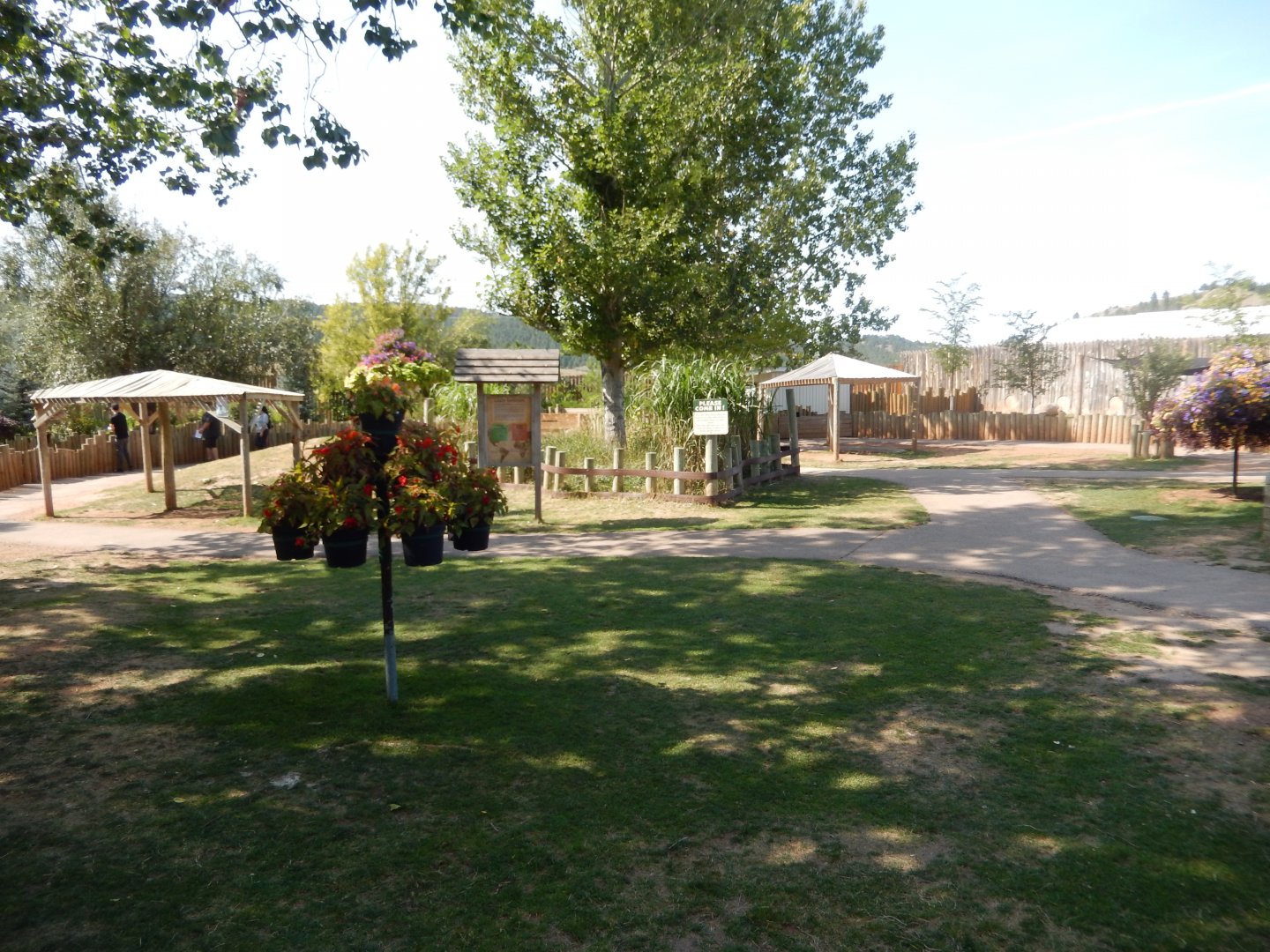 9/8/2021 - Giant Tortoise Walkthrough Exhibit
