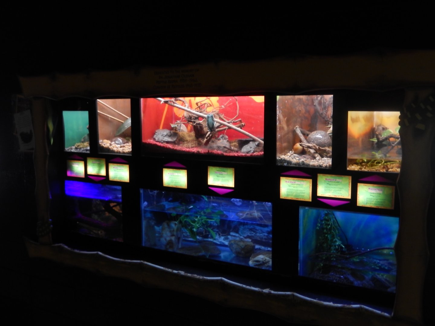 9/8/2021 - Invertebrate Terrariums