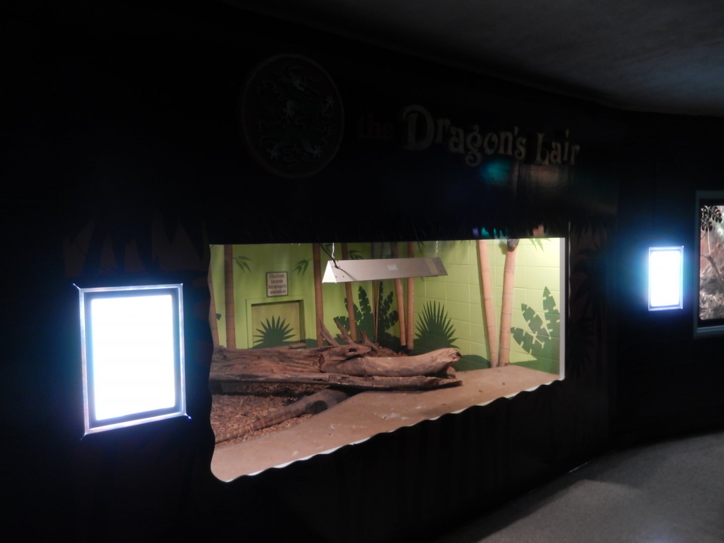 9/8/2021 - Komodo Dragon Exhibit
