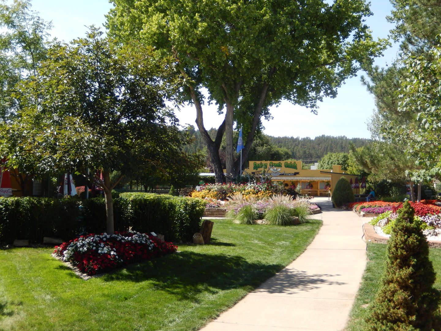 9/8/2021 - Looking Towards Spring Creek Gulch