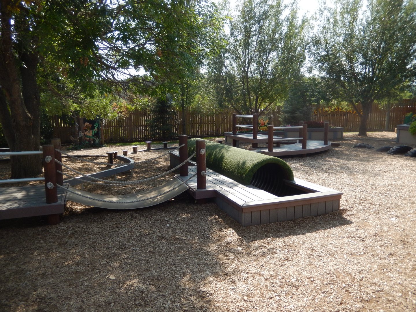 9/8/2021 - Methuselah's Playground