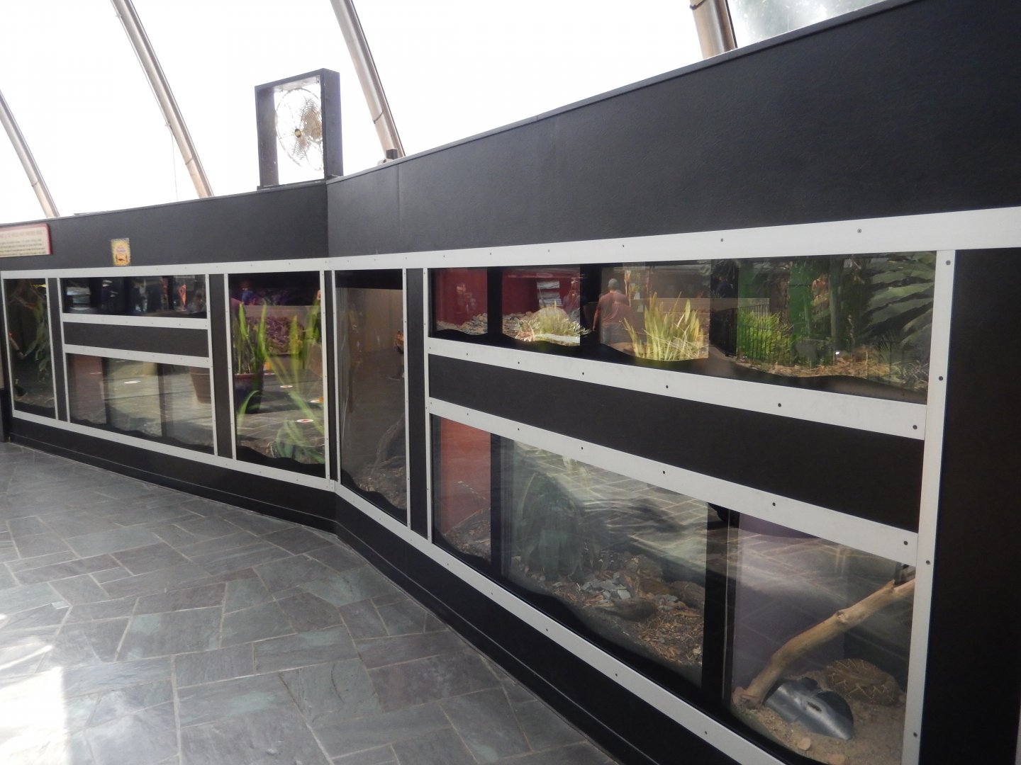 9/8/2021 - Terrariums