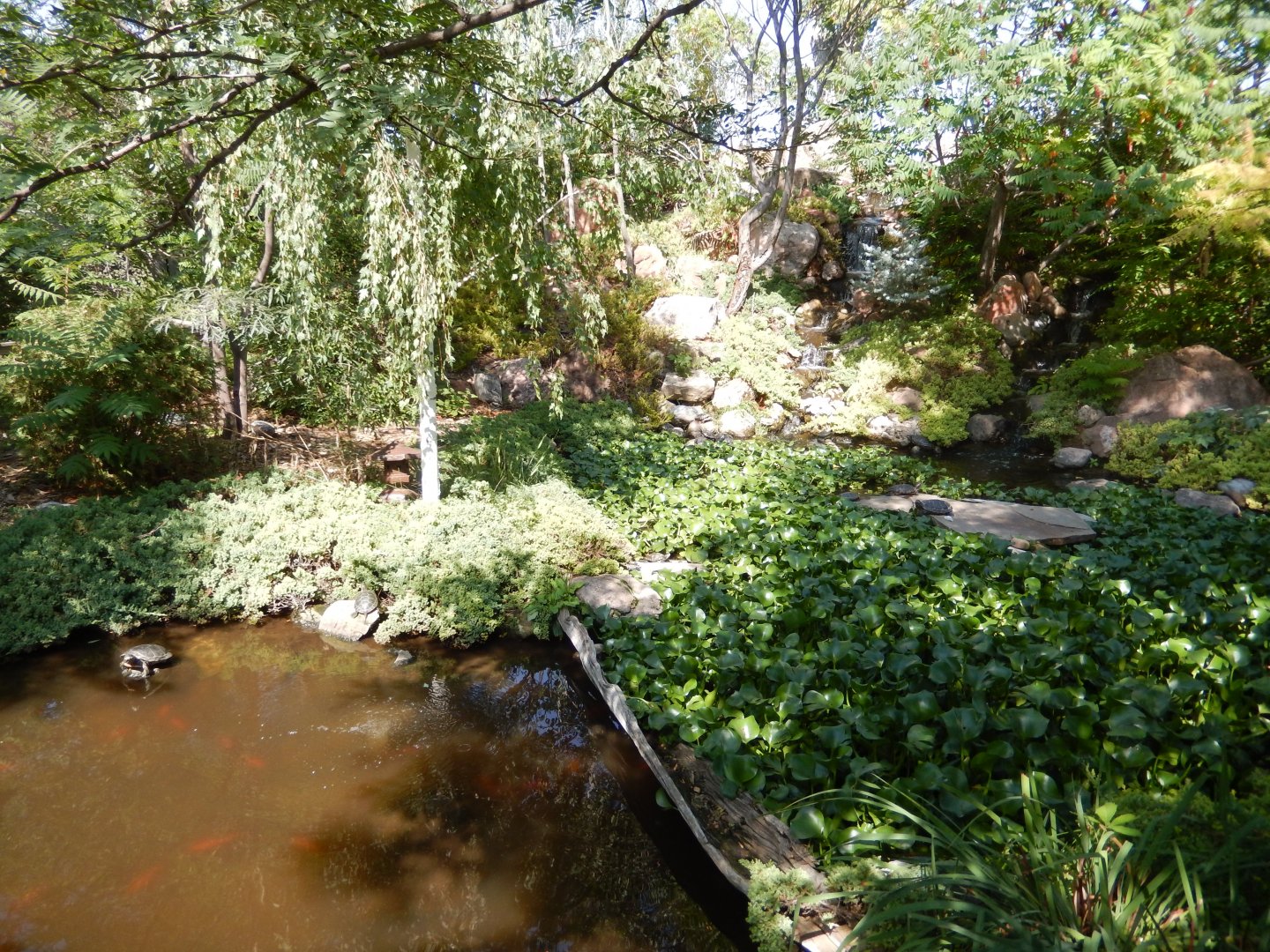 9/8/2021 - Tortuga Falls General View