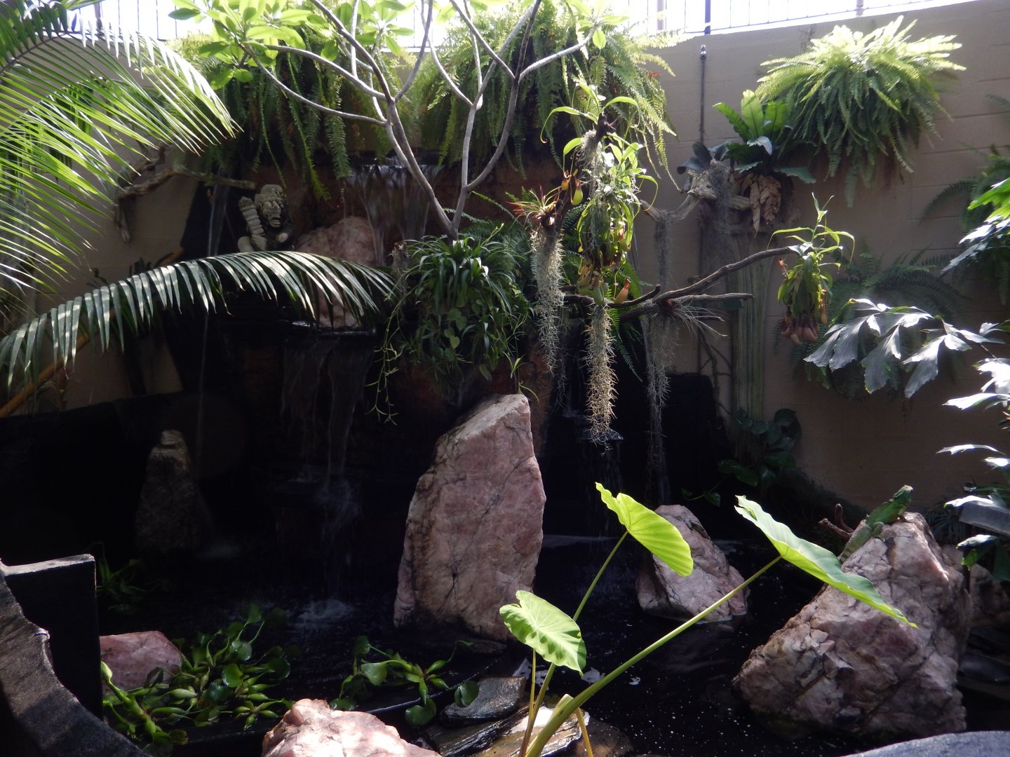 9/8/2021 - Turtle Exhibit