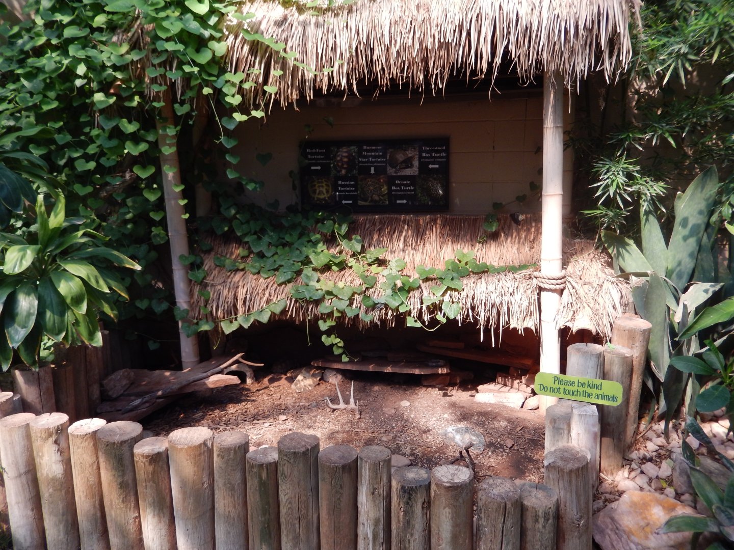 9/8/2021 - Turtle & Tortoise Exhibit