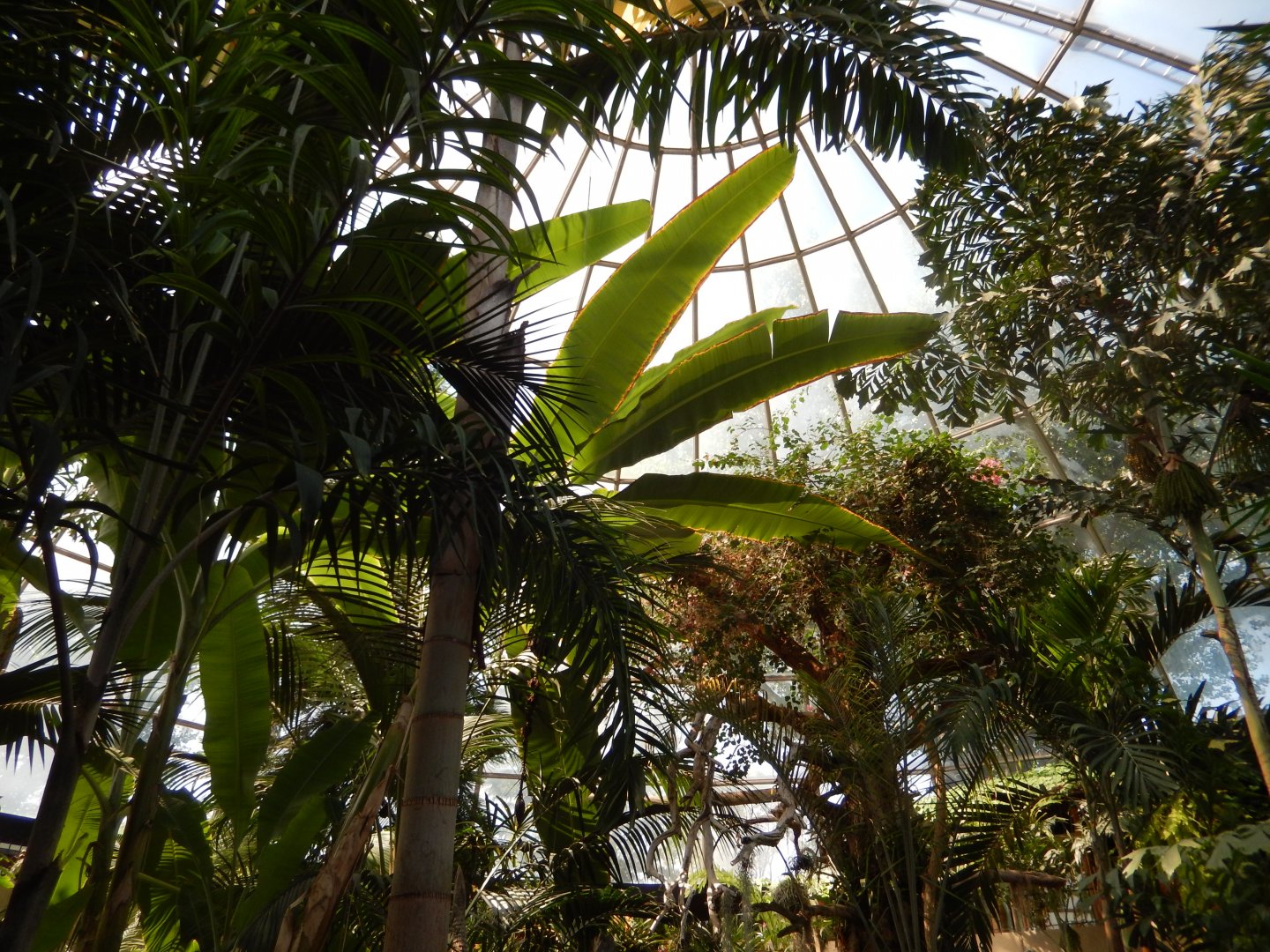 9/8/2021 - Walkthrough Jungle