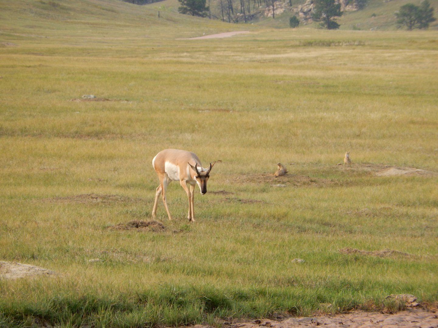 9/9/2021 - Just Passing Through Town...