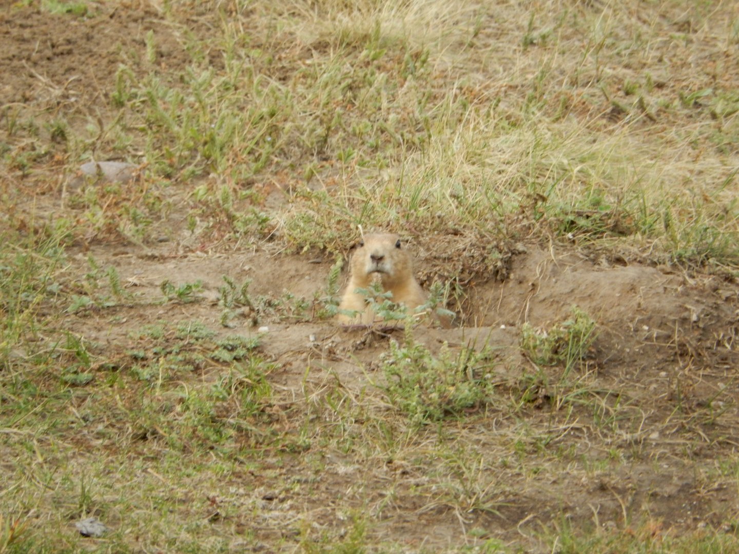 9/9/2021 - Who Goes There?