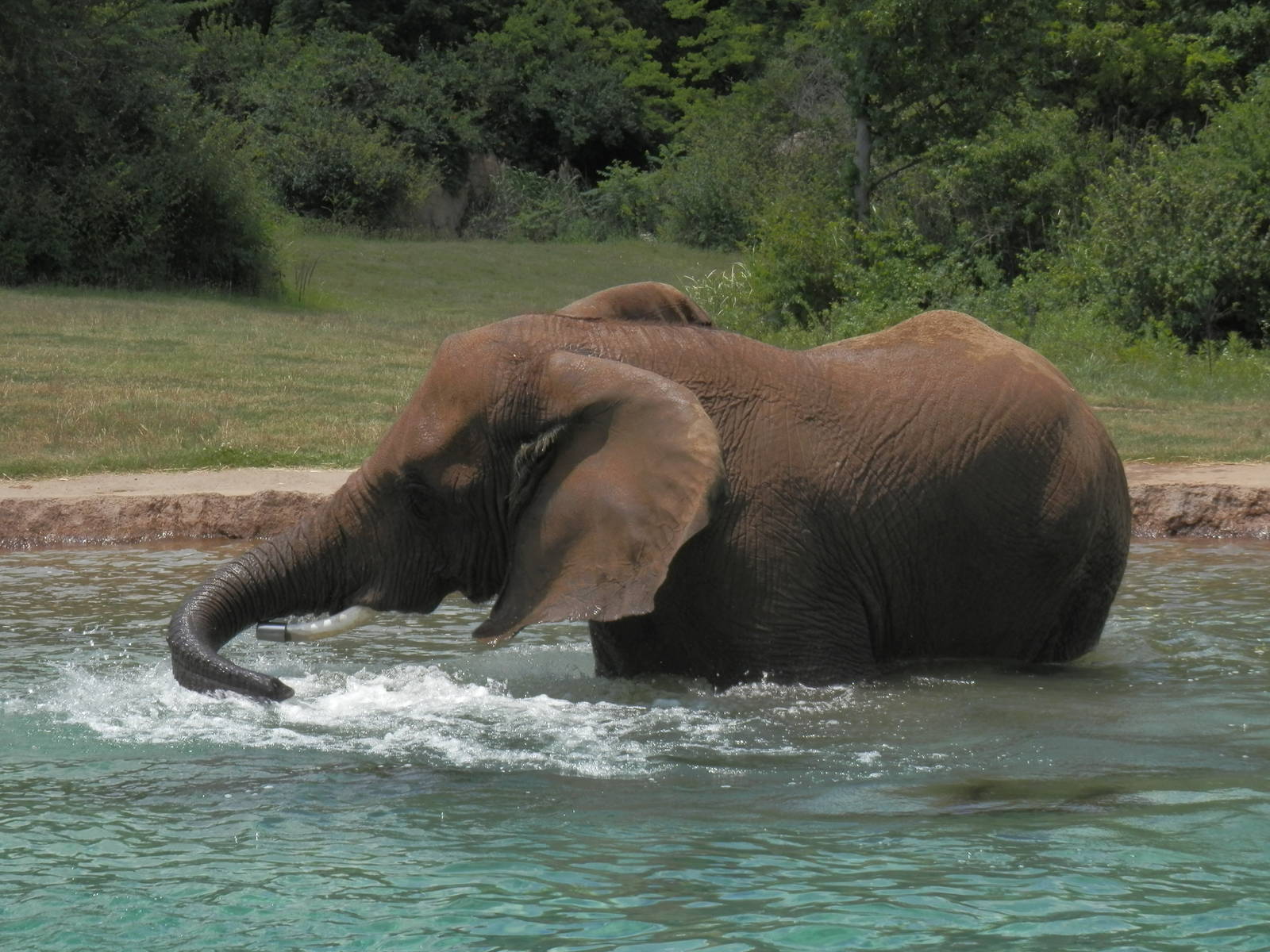 90 degrees deserves a swim