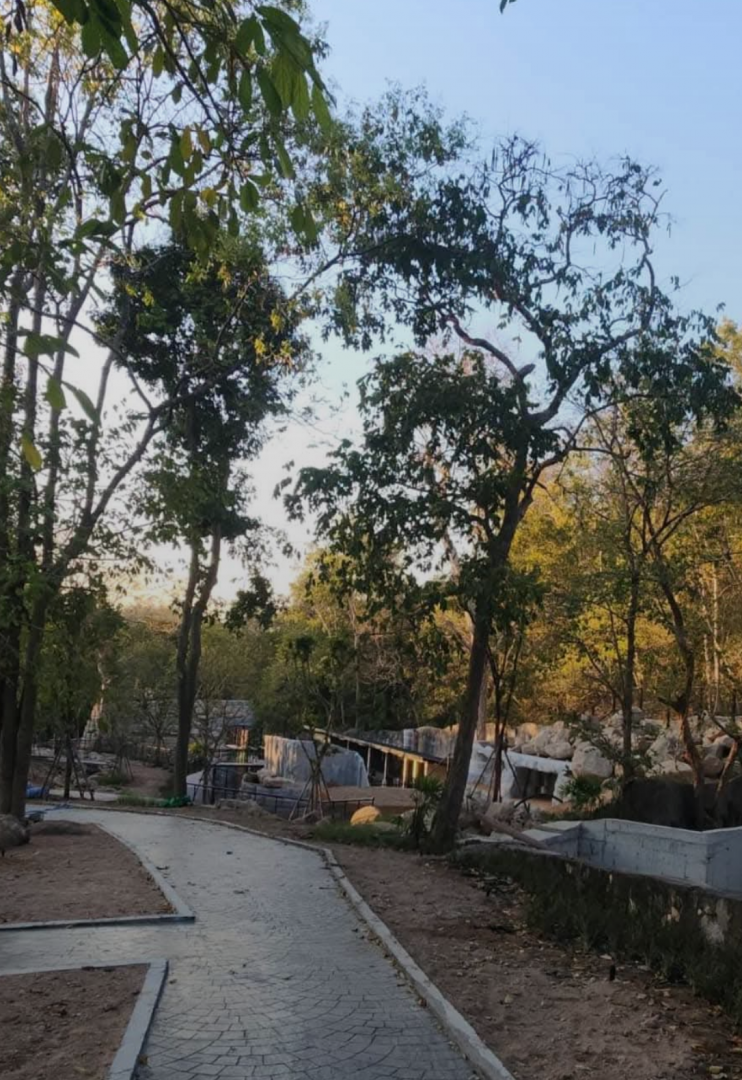 90% of the mountain animal exhibition will open in January 2025.