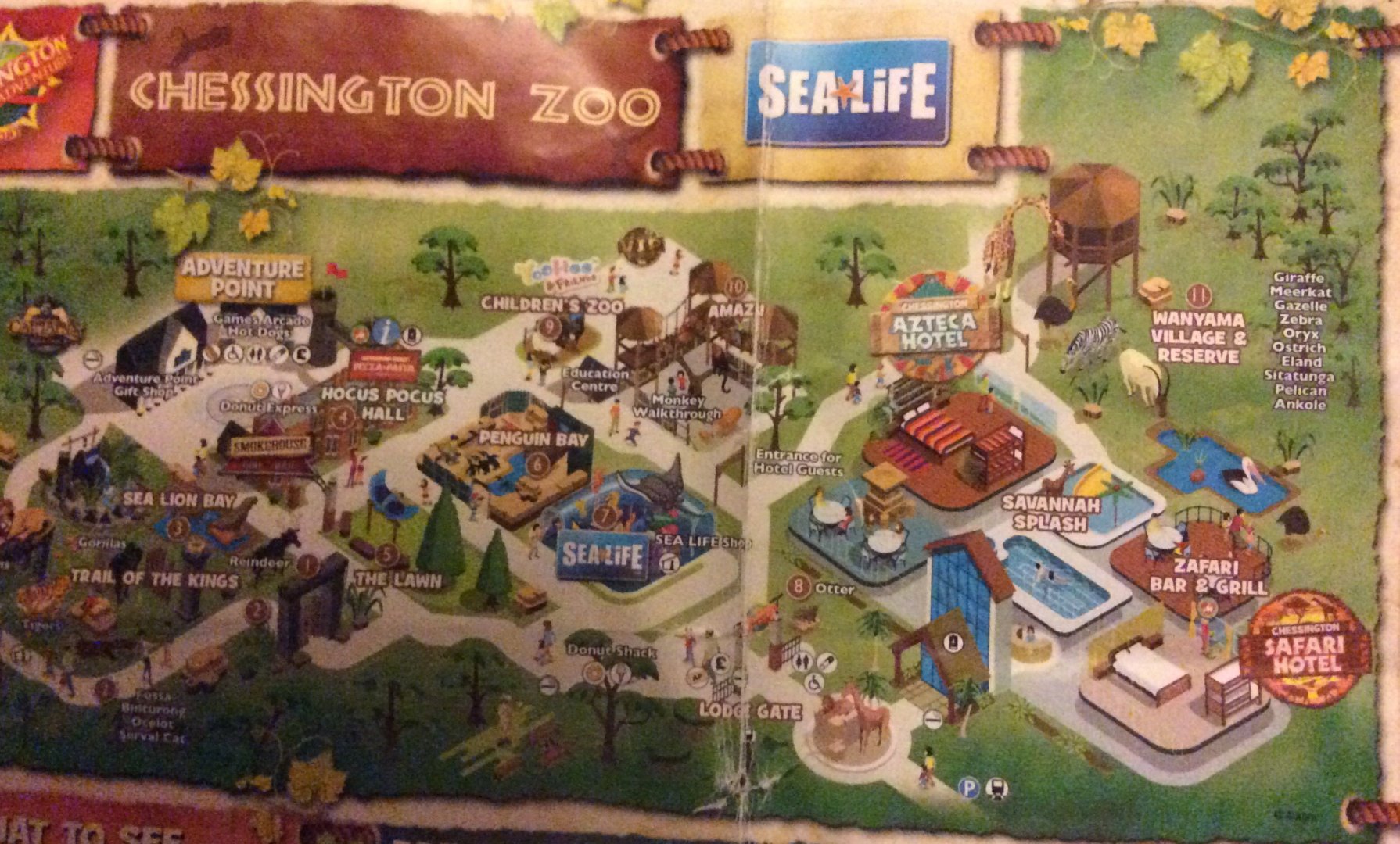 92A01D16-7AA4-4861-BF42-251E36748696