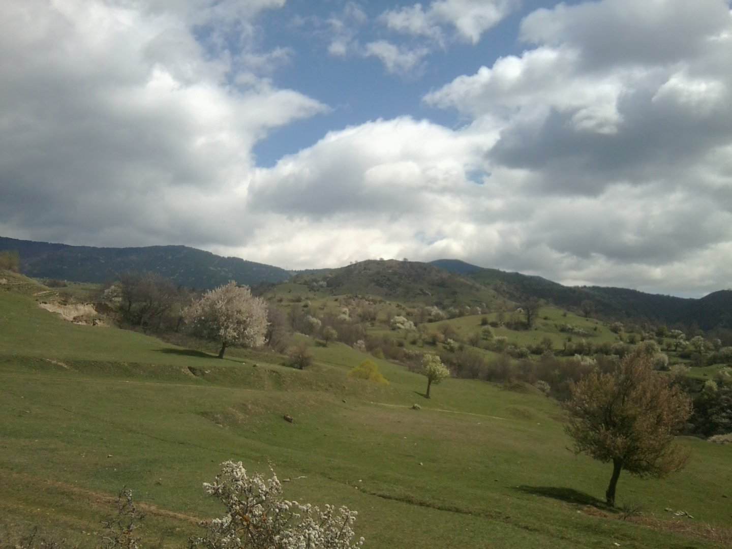 9th April, 850 m above sea level