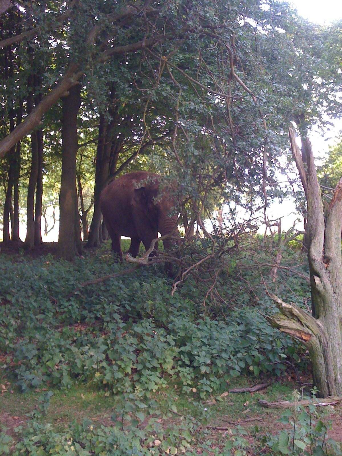 A advertisement for free contact.